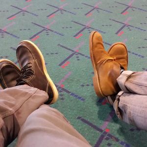 Meet your Posher, Buddy